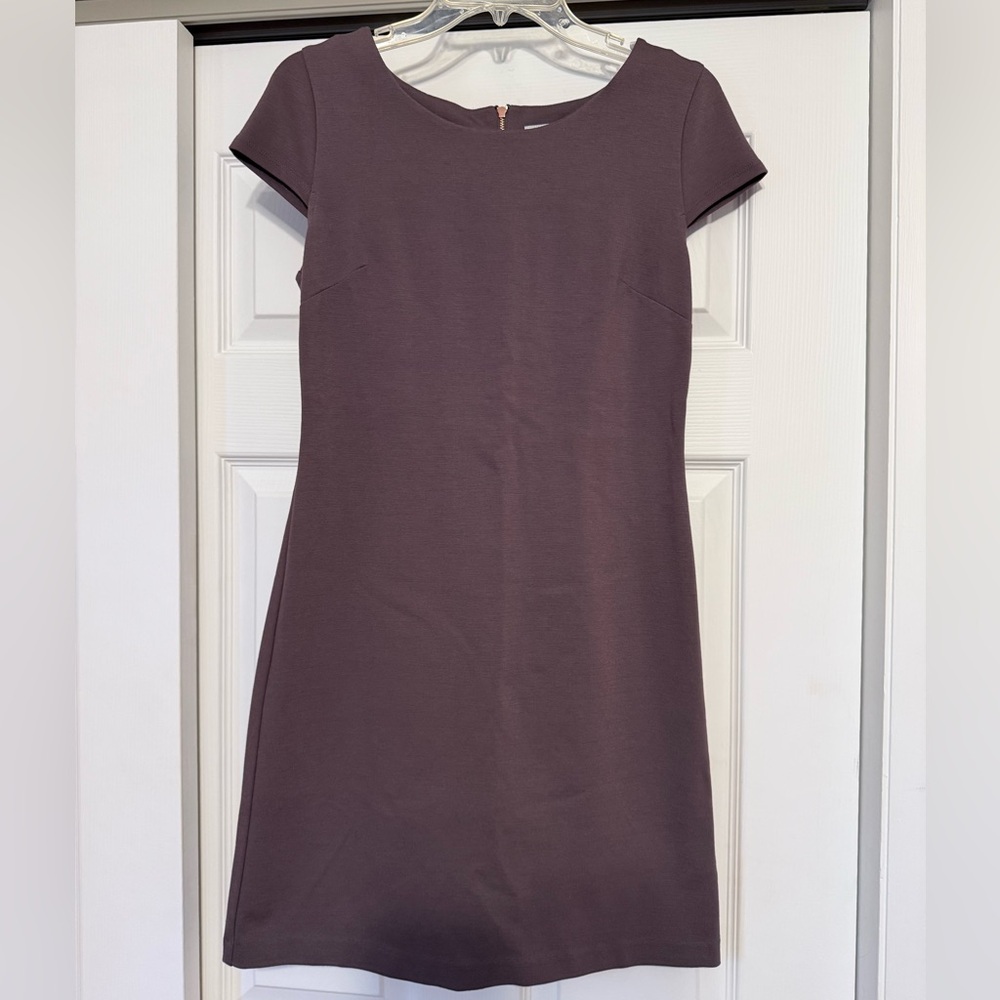 Boston Proper Taupe Sheath Dress - Size 6